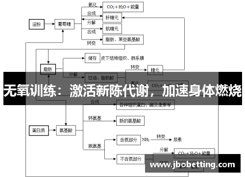 无氧训练：激活新陈代谢，加速身体燃烧